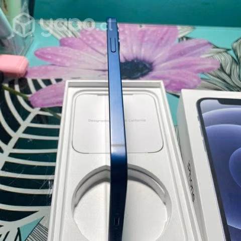 IPhone 12 n - Imagen 4