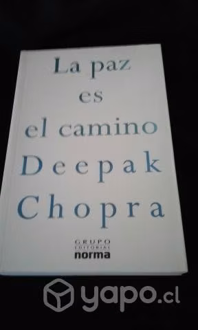 La paz es el camino