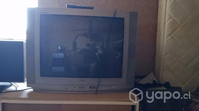 Ventana refrigerador televisor grande y chico