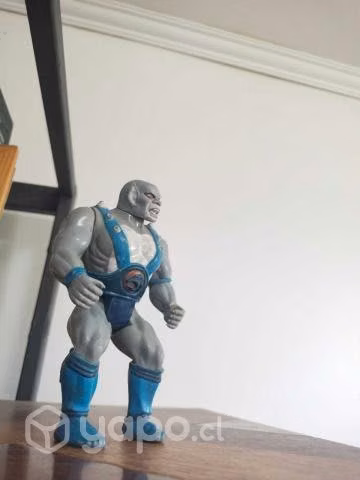 Thundercats Pantro