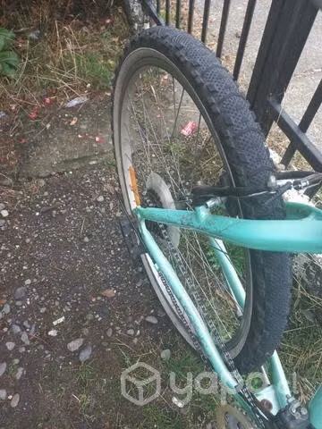 Bicicleta oxford - Imagen 3