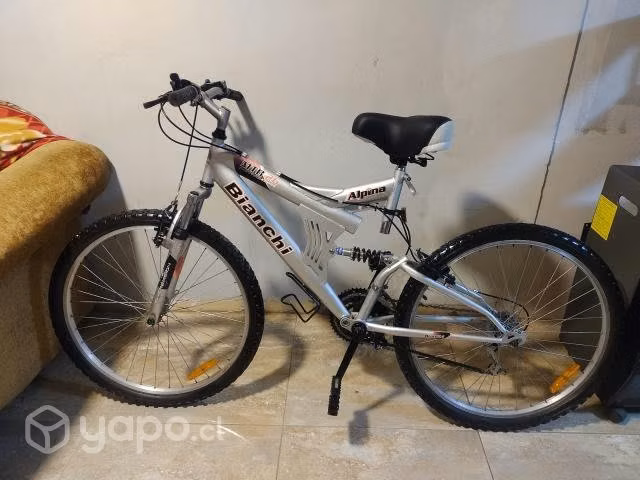 Bianchi alpina - Imagen 3