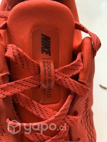 Nike winflo 6