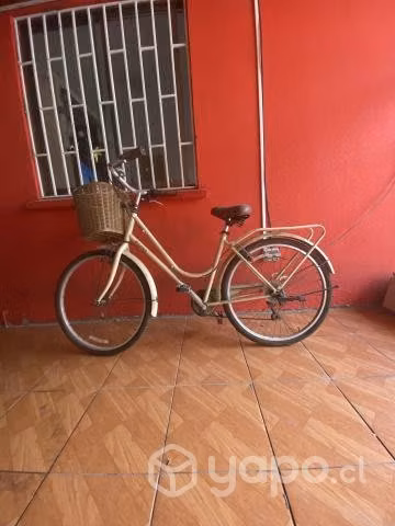 Bicicleta paseo