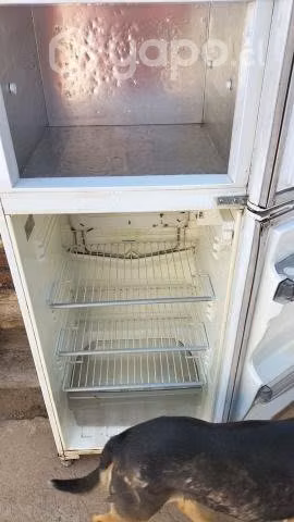 Refrigerador sindelen - Imagen 4