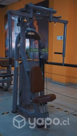 Peck fly de alto trafico gimnasio