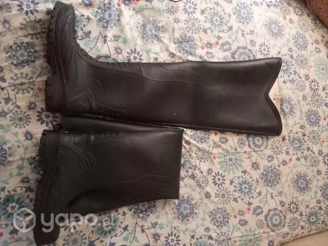 Botas