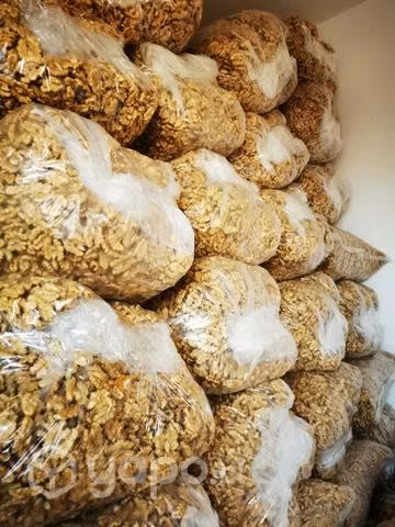 Nueces mariposa