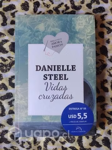Vidas cruzadas - Danielle Steel