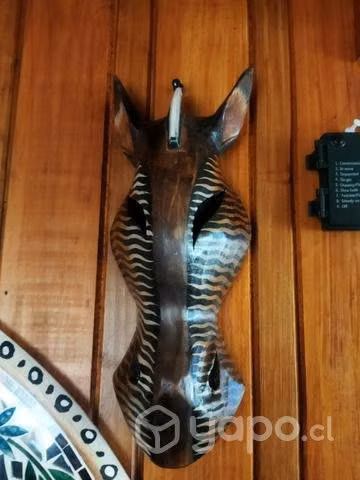 Máscaras de cebras