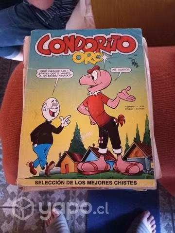 condoritos antiguos