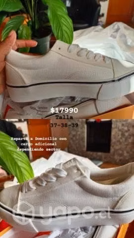 Zapatillas