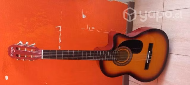 Guitarra acustica viscaya