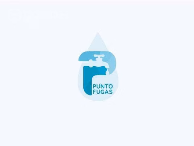 Puntofugas