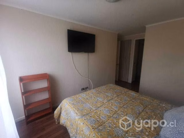 Departamento central familiar verano 2023