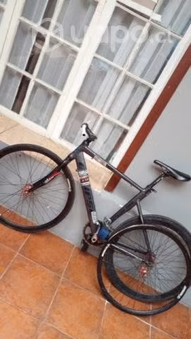 Fixie piñon fijo