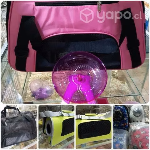 Disponible para su mascota accesorios y más