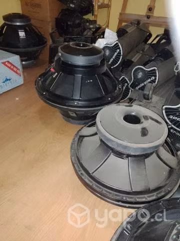 Parlante 18" mod. P-300