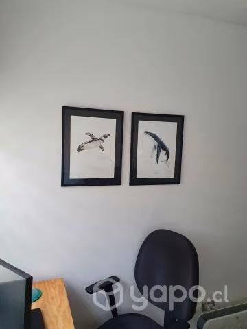 Cuadro 40x50 Ballena Chilena