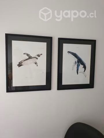 Cuadro 40x50 Ballena Chilena