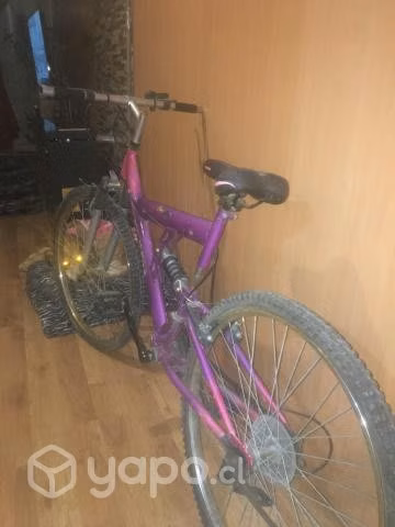Bicicleta
