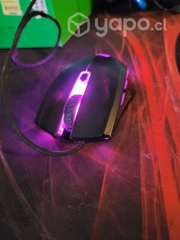 Mouse Ttesports