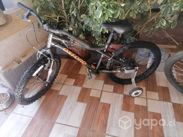 Bicicleta aro 20 - Imagen 2