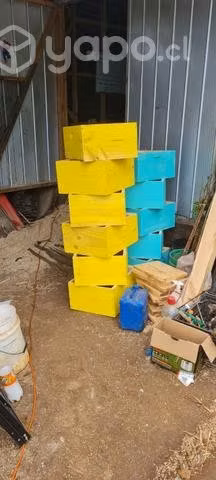 Cámara de cría para abejas