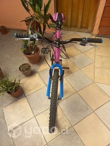 Bicicleta Caloi Aro 24 - Imagen 2