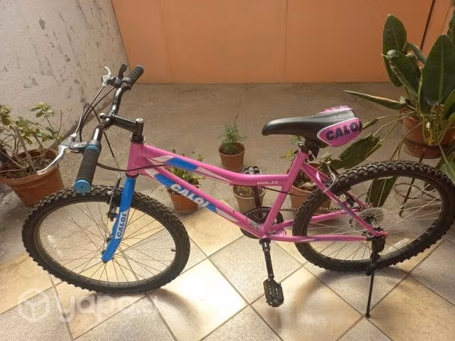 Bicicleta Caloi Aro 24 - Imagen 4