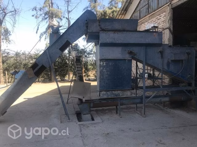 Linea completa para proceso de nueces