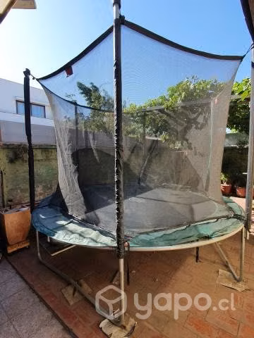 Cama elástica Berg modelo Favorit