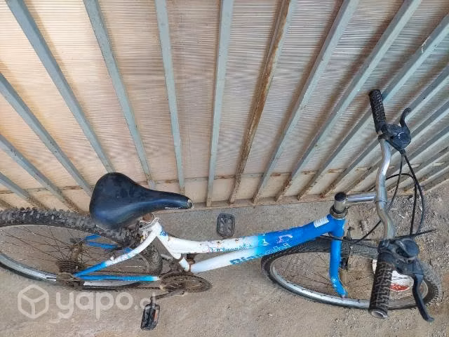 Bicicleta bianchi