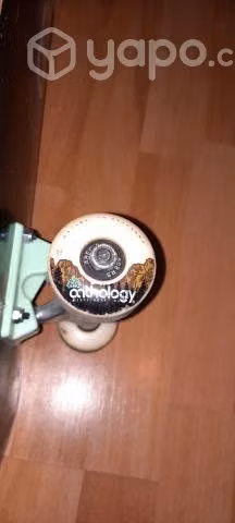Skate Anthology