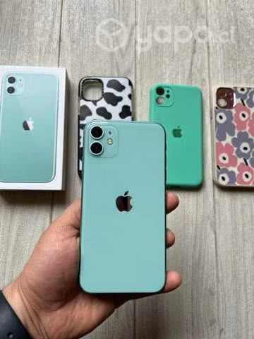 iPhone 11
