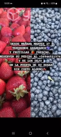 Frutillas/ frambuesas/ arándanos