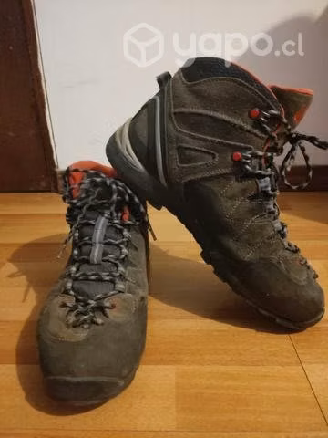Zapatillas lippi