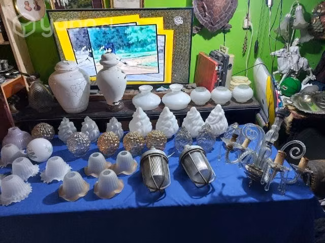Tulipas lamparas