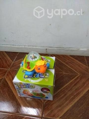 Tortuga espanta cuco