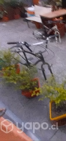 Lote de bicicletas - Imagen 3