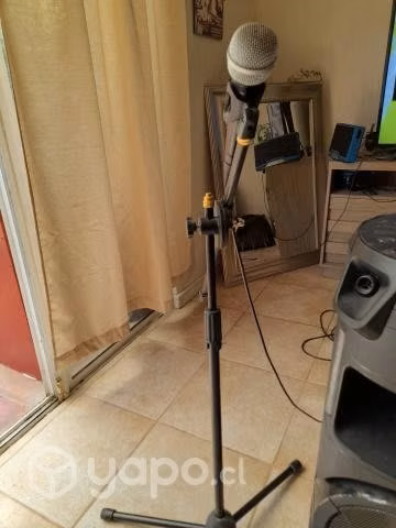 parlante sony con dos microfonos