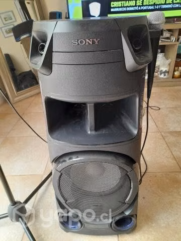 parlante sony con dos microfonos