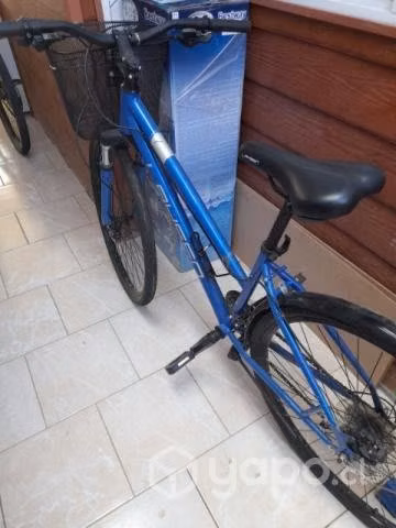 Bicicleta de mujer