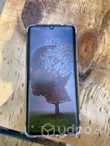 Xiaomi mi note 10 lite