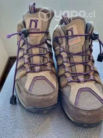 Zapatos de seguridad