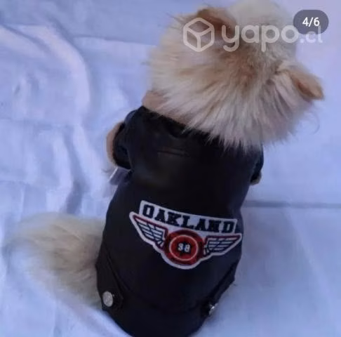 Chaqueta de eco cuero
