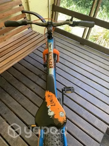 Bicicleta Niño (8-11 años) aro 20 fat