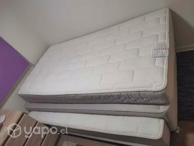 Cama Nido