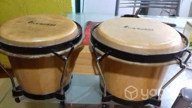 Bongos, Marca Tropicana