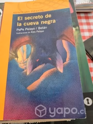 El secreto de la cueva negra